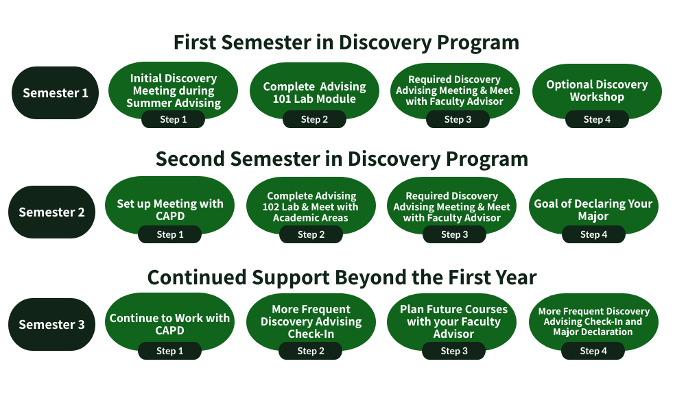 Timeline showing how a student could experience the Discovery Program